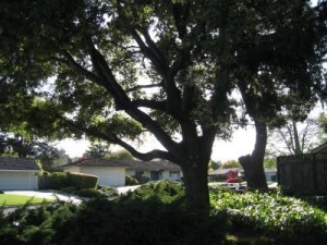 IMG_0527 IMG_0527